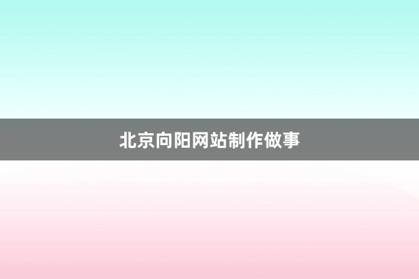 北京向阳网站制作做事