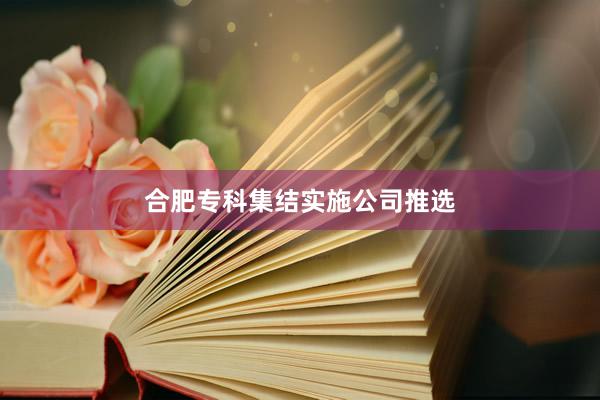 合肥专科集结实施公司推选